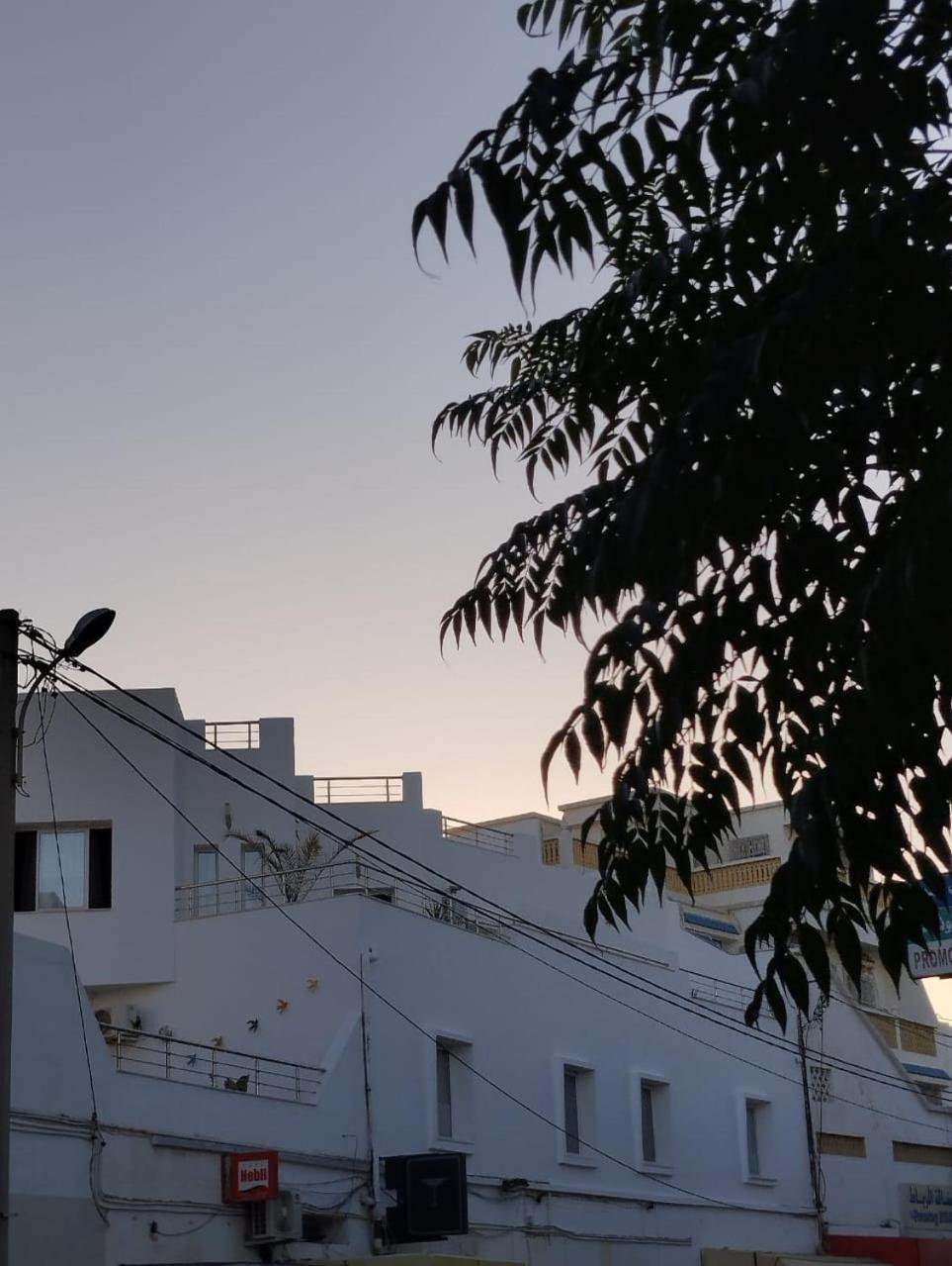 Leo Haute Standing Appartment S1 Center Ville Monastir 莫纳斯提尔 外观 照片